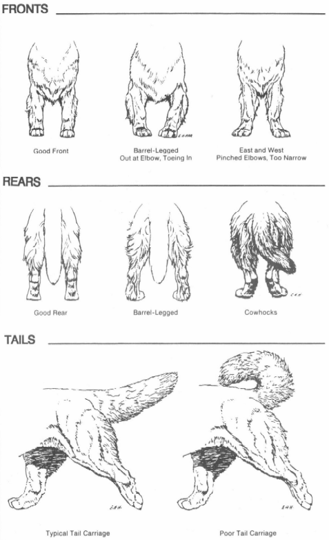 illustration of correct heads