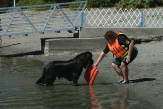 Newfoundland Water Rescue