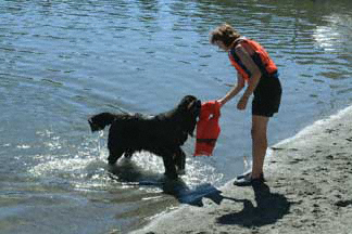 Newfoundland Water Rescue