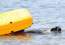 Newfoundland Water Rescue