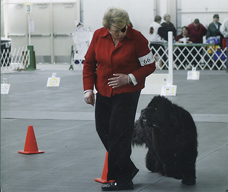 Newfoundland dog and handler in rally obedience
