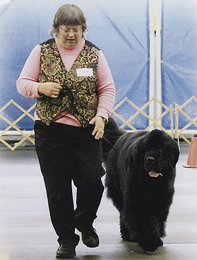 Newfoundland dog and handler in rally obedience