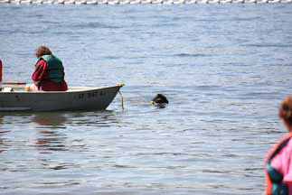 Newfoundland Water Rescue