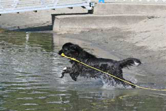 Newfoundland Water Rescue