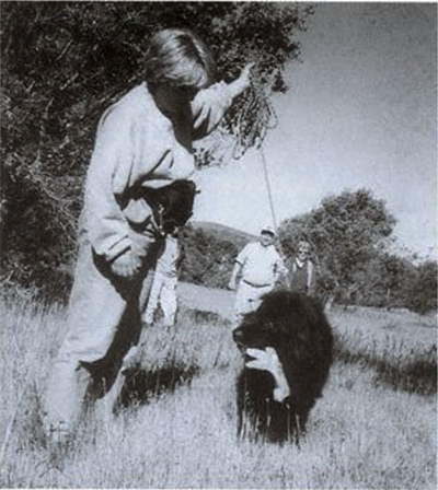 newfoundland dog tracking
