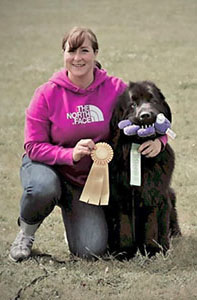 newfoundland dog doing tricks