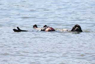 Newfoundland Water Rescue