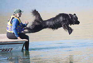 water work with Newfoundland dogs