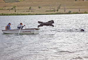 water rescue newfoundland